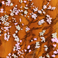 Fiori di mandorlo rosa 2010 - 40cm x 30cm, olio e china su plexiglass sopra un cartone telato resine e acrilico | Gianna Moise